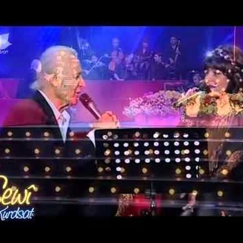 هانی و هۆمەر دزەیی