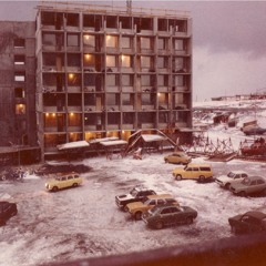 Engihjallaóveðrið 1981