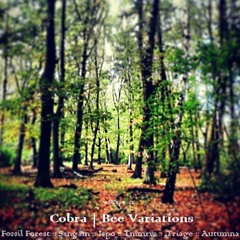 Cobra | Bee Variations [eSKape001] Previews - OUT NOW!