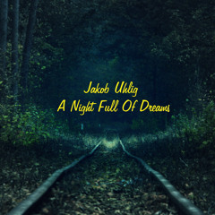 A Night Full Of Dreams