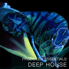 PRODUCER ESSENTIALS DEEP HOUSE BY SPF SAMPLERS
