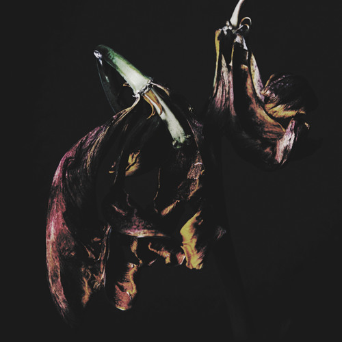 Swimming Pool - TRAAMS