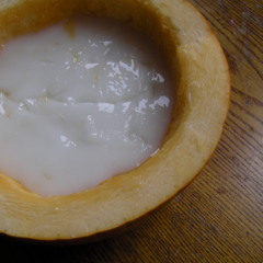 The Borax Experiment - Impact Expansion - Free Samples