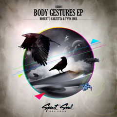 Roberto Calzetta & Twin Soul - Body Gestures (Original Mix) [SSR007]