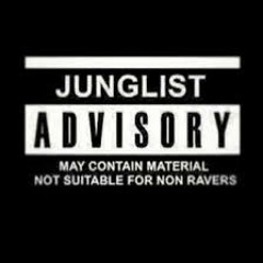 Biig FaT BaSS (NiPDeM - Jngle/DnB Mix T/L)