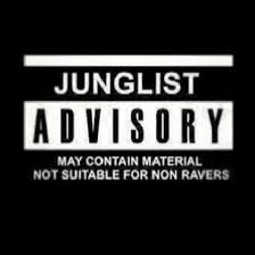 Biig FaT BaSS (NiPDeM - Jngle/DnB Mix T/L)