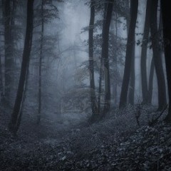 Cosmalogic - Foresta(Cloud Pre.)