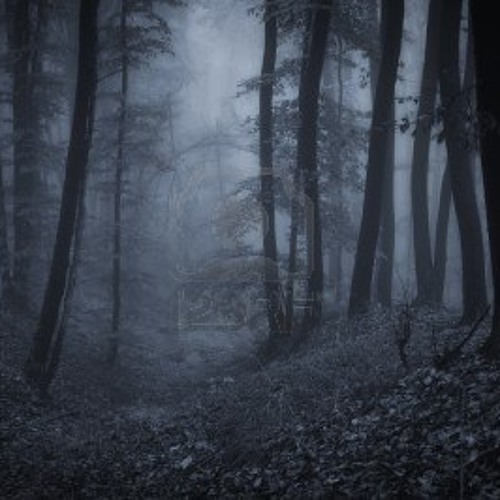Cosmalogic - Foresta(Cloud Pre.)