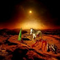 الرادود حسين الحجامي - لا تلوموني