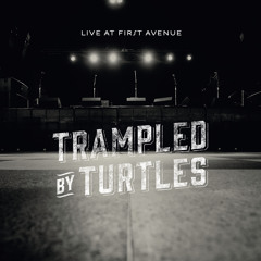 Trampled by Turtles - "Wait So Long" (Live)