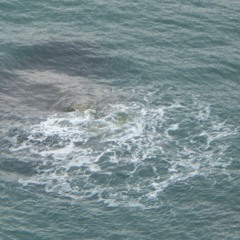 always there when you call