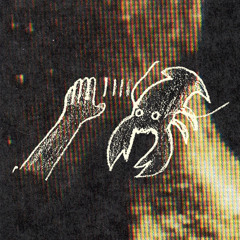 Palms Trax - Equation (Snow Bone's Linear Equation)
