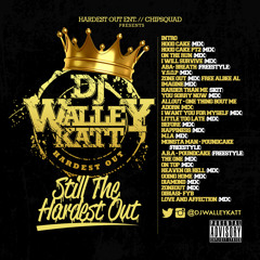 ON THE RUN (MIX) @DJWALLEYKATT STILL THE HARDEST OUT