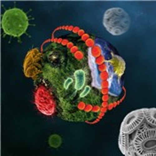 Acid Relax -2009 unmastered-