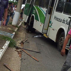 onibus da princesa do sul