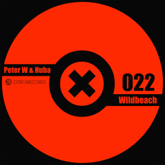 Peter W & Huba - Breeze (Original Mix)