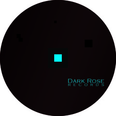 Mental Resonance - The Unknown Beings EP (Inc Miki Craven Remixes) [Dark Rose 002] Vinyl / Digital