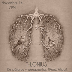 De pájaros y aeropuertos. (Prod. Allpa)