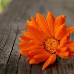 Tuoi hoc tro-thuy hanh