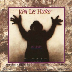 La Disquerie - John Lee Hooker, The Healer