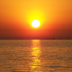 Big Boss - Doctor P (BUZZ.exe Remix)