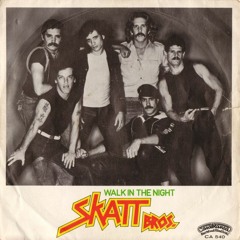 disco rareties & cult tracks