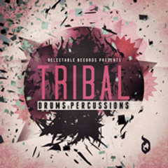 DGS42 Tribal Drums and Percussion - Sample Library - Exclusive at Loopmasters