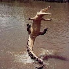 Super Maldito - Ando bien pinche Krokodil