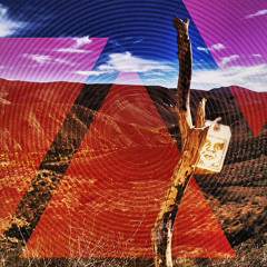 Young Cougars (Age of Excess)