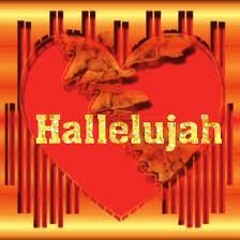 Hallelujah  - Leonard Cohen - Jeff Buckley (Hannah Trigwell Live Cover)