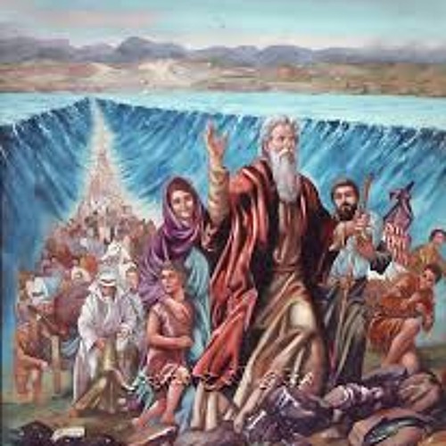 الهوس الاول فريق الشهيد ابو فام الجندى