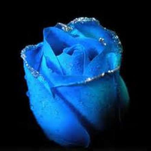 记得是最好的遗忘－卡威尔