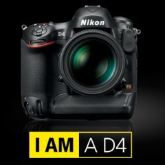 Nikon D4 Shutter