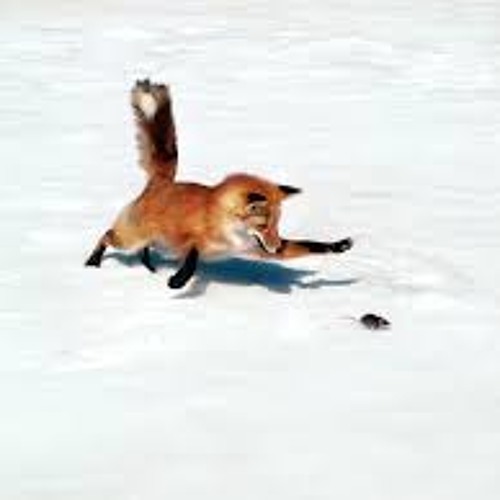 What Does The Fox Say (Sample WIP)