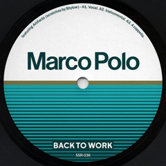Marco Polo f. Artifacts - BACK TO WORK 12" (Vocal, Inst., A Capella)