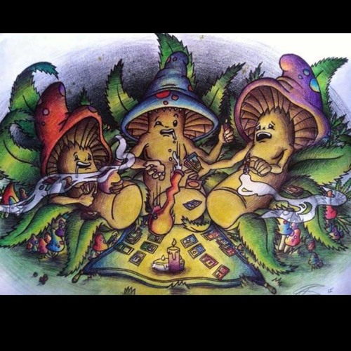 1200 Micrograms - Ayahuasca