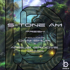 S-Tone AM - Fresh (Dani Shuk Remix) preview - BOO020