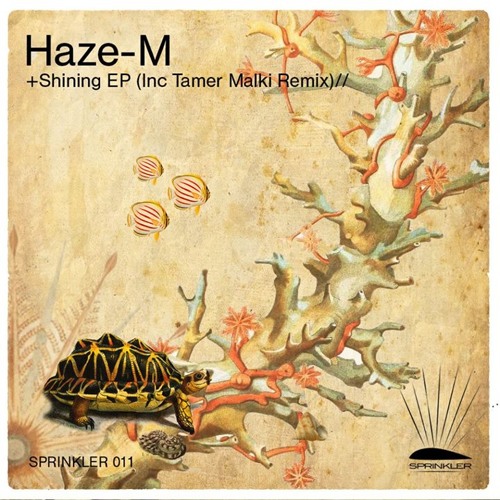 Haze-M - Intrigue  (Tamer Malki Remix)