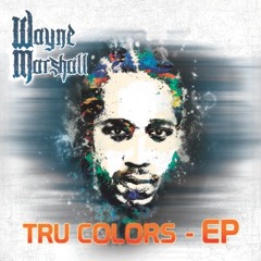 Wayne Marshall- "Go Harder" feat. Ace Hood, Baby Cham & Waka Flocka