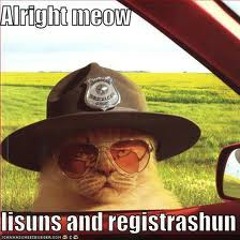 Super Meow (Super Troopers Comedy)