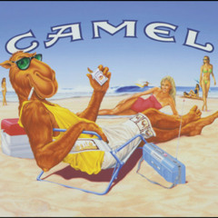 Camello - Mancora