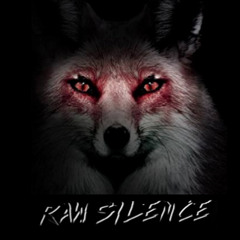 RAW SILENCE LIVE SET 26.10.13 @ Shh Sessions