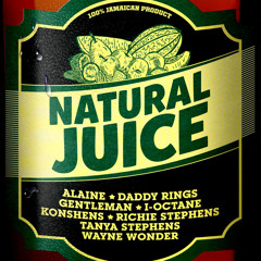 Dj T-Mension - Natural Juice Riddim 2k13 Mix