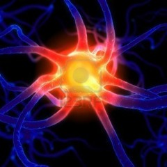 Receptor -ManMadeMan