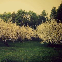 Just The Way Your Are (Pitch Perfect Cover)