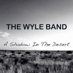 Shadow In The Desert