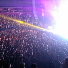 The Beat - Roar & buamgarther