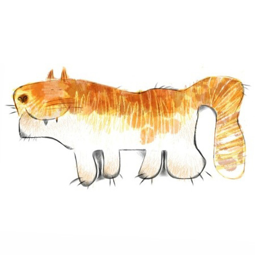 Kitten And Tiger
