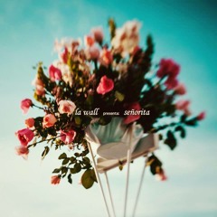 Señorita - Lawall