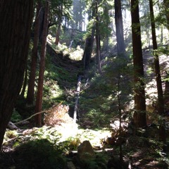 Road Trip to Big Sur